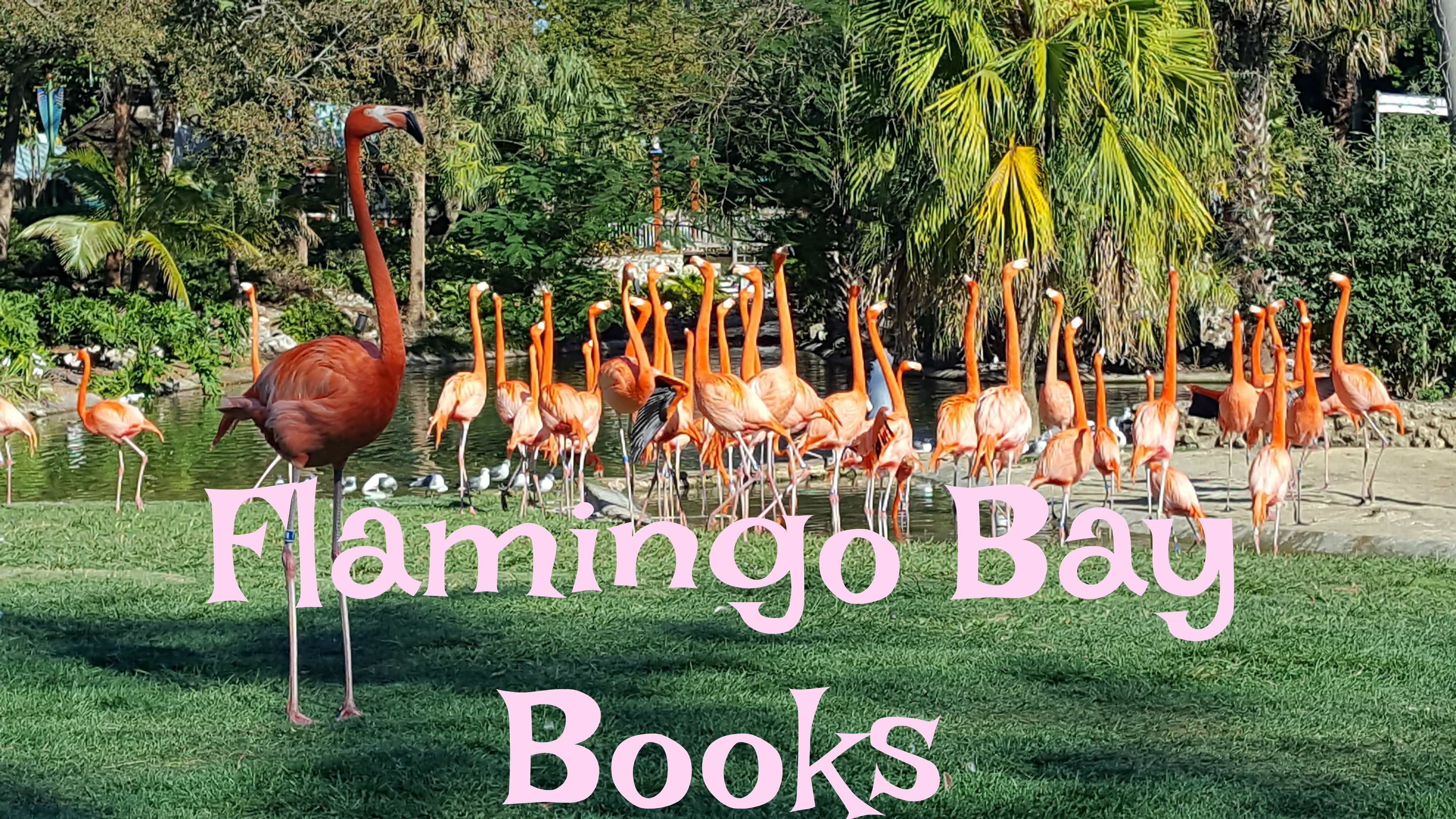Flamingo Bay Books